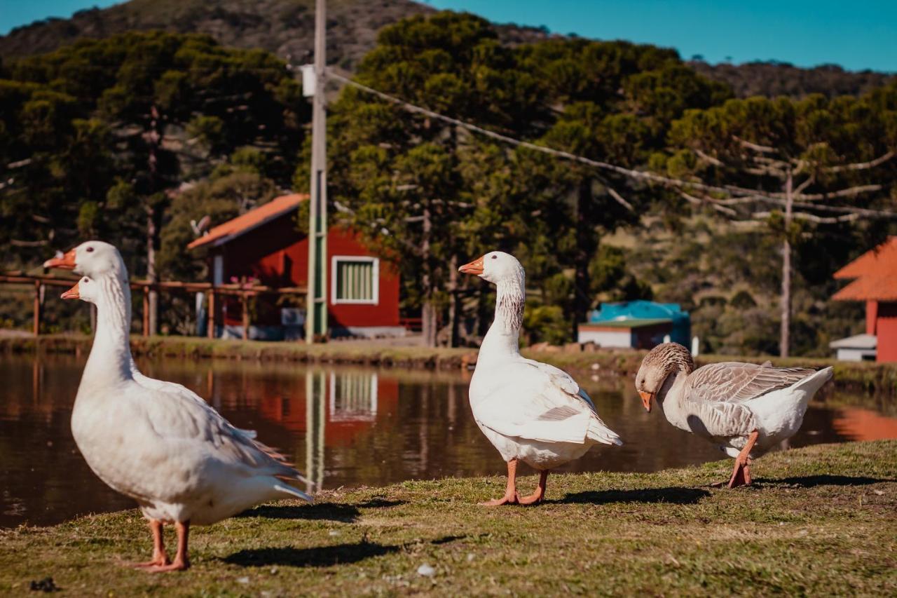 Pousada Lago Da Colina Urubici Zewnętrze zdjęcie